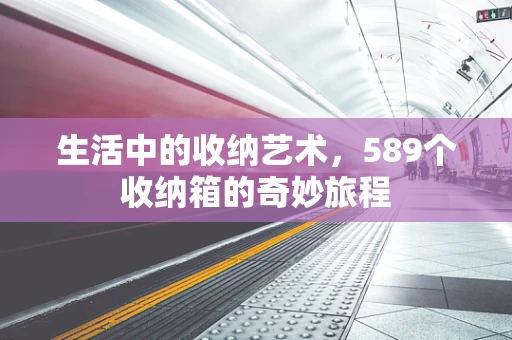 生活中的收纳艺术，589个收纳箱的奇妙旅程