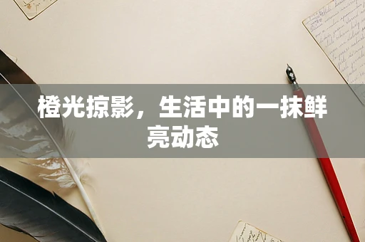 橙光掠影，生活中的一抹鲜亮动态