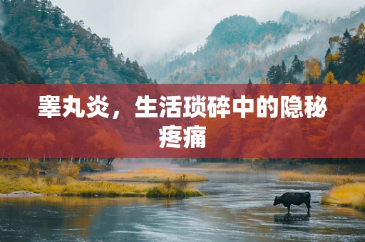 睾丸炎，生活琐碎中的隐秘疼痛
