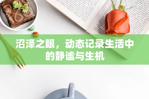 沼泽之眼，动态记录生活中的静谧与生机