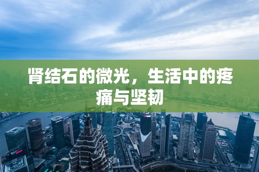 肾结石的微光，生活中的疼痛与坚韧