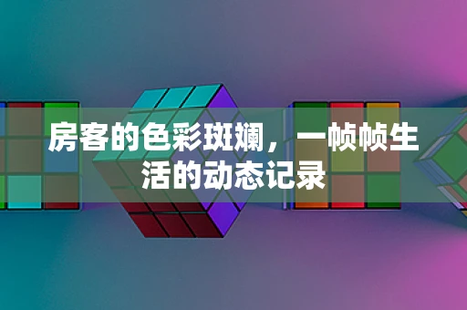 房客的色彩斑斓，一帧帧生活的动态记录