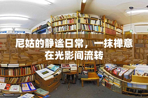 尼姑的静谧日常，一抹禅意在光影间流转