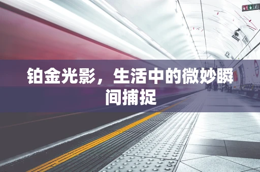 铂金光影，生活中的微妙瞬间捕捉
