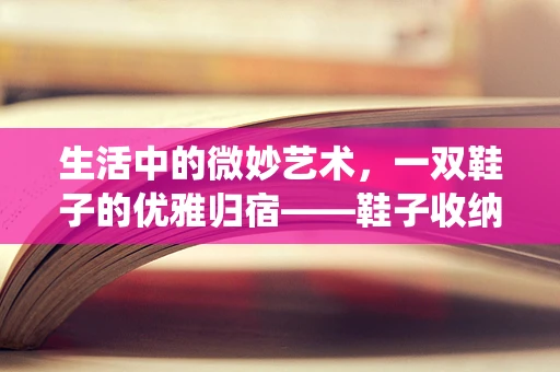 生活中的微妙艺术，一双鞋子的优雅归宿——鞋子收纳袋的动态演绎