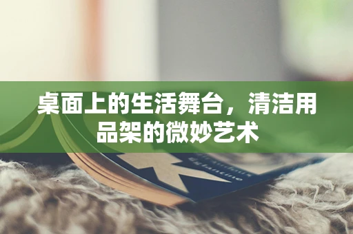 桌面上的生活舞台，清洁用品架的微妙艺术