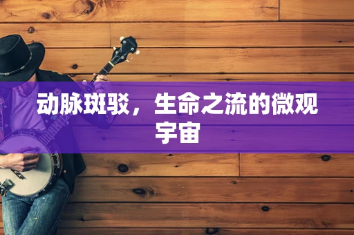 动脉斑驳，生命之流的微观宇宙