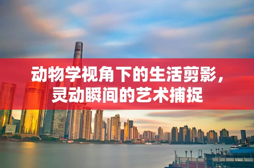 动物学视角下的生活剪影，灵动瞬间的艺术捕捉