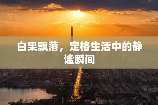 白果飘落，定格生活中的静谧瞬间