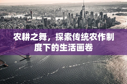 农耕之舞，探索传统农作制度下的生活画卷