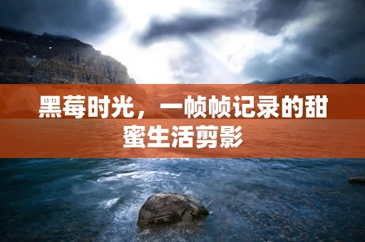 黑莓时光，一帧帧记录的甜蜜生活剪影