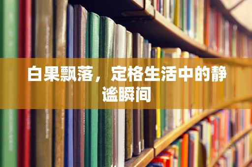 白果飘落，定格生活中的静谧瞬间