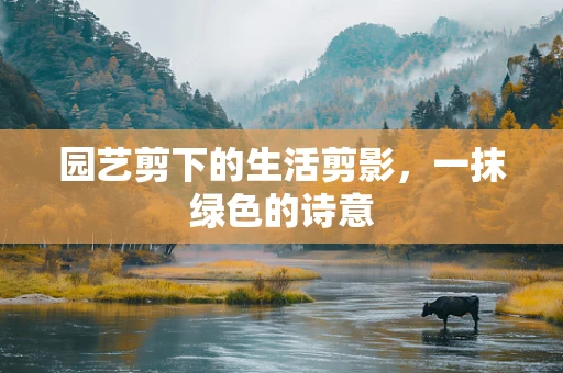 园艺剪下的生活剪影，一抹绿色的诗意