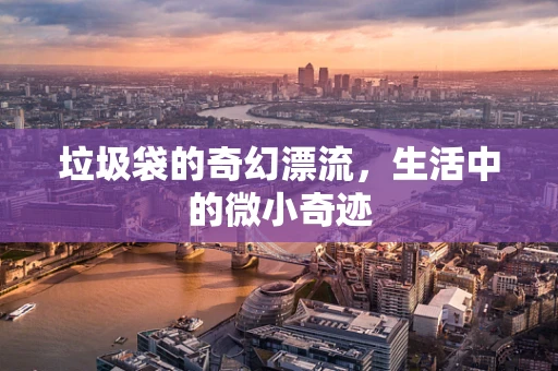 垃圾袋的奇幻漂流，生活中的微小奇迹
