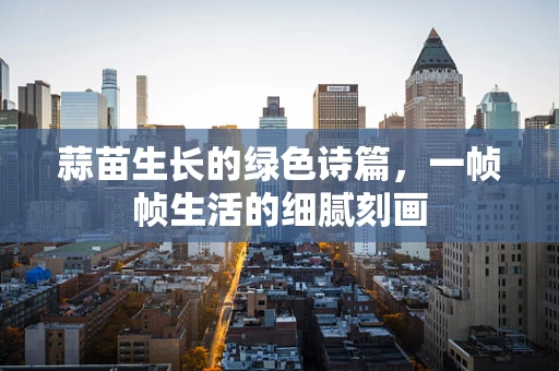 蒜苗生长的绿色诗篇，一帧帧生活的细腻刻画