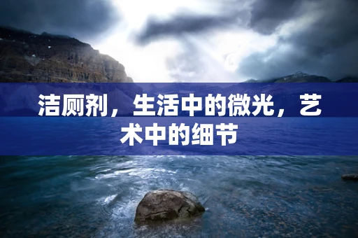 洁厕剂，生活中的微光，艺术中的细节