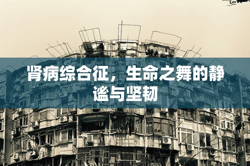 肾病综合征，生命之舞的静谧与坚韧