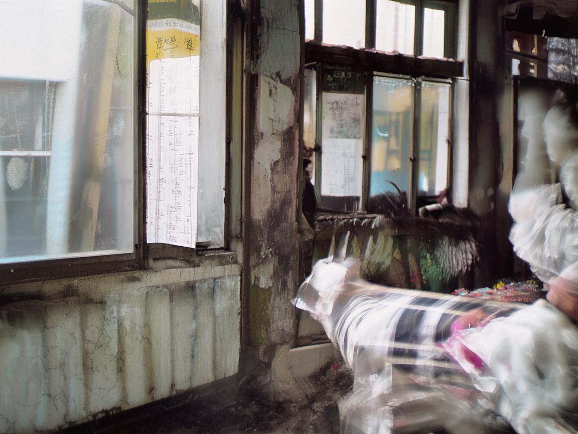 龙眼流转，一帧帧光影绘就的日常生活诗篇